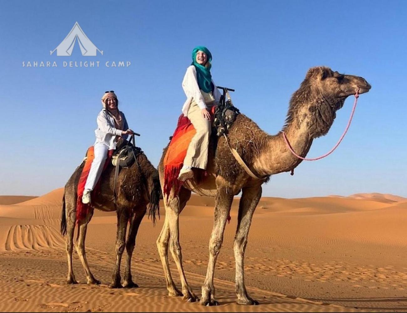 Appartement Sahara Delight Camp Merzouga